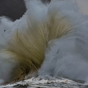 Cape Disappointment Fan Wave Print